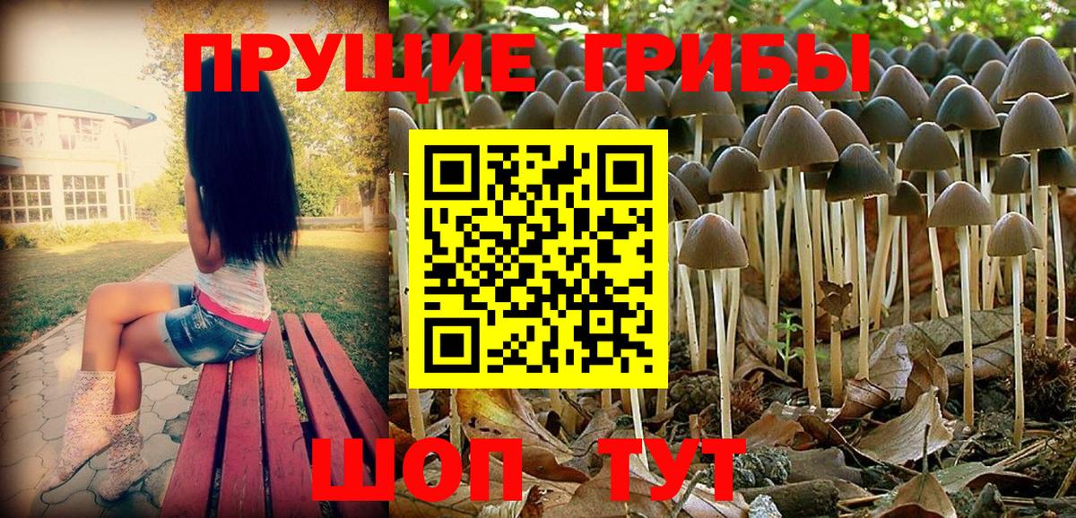 Галлюциногенные грибы мухоморы Тосно